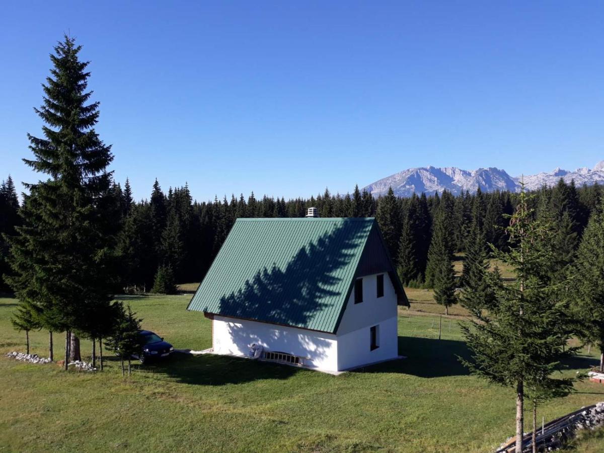 House In Forest Žabljak Eksteriør bilde