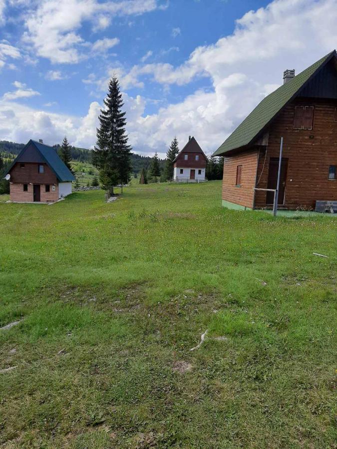 House In Forest Žabljak Eksteriør bilde