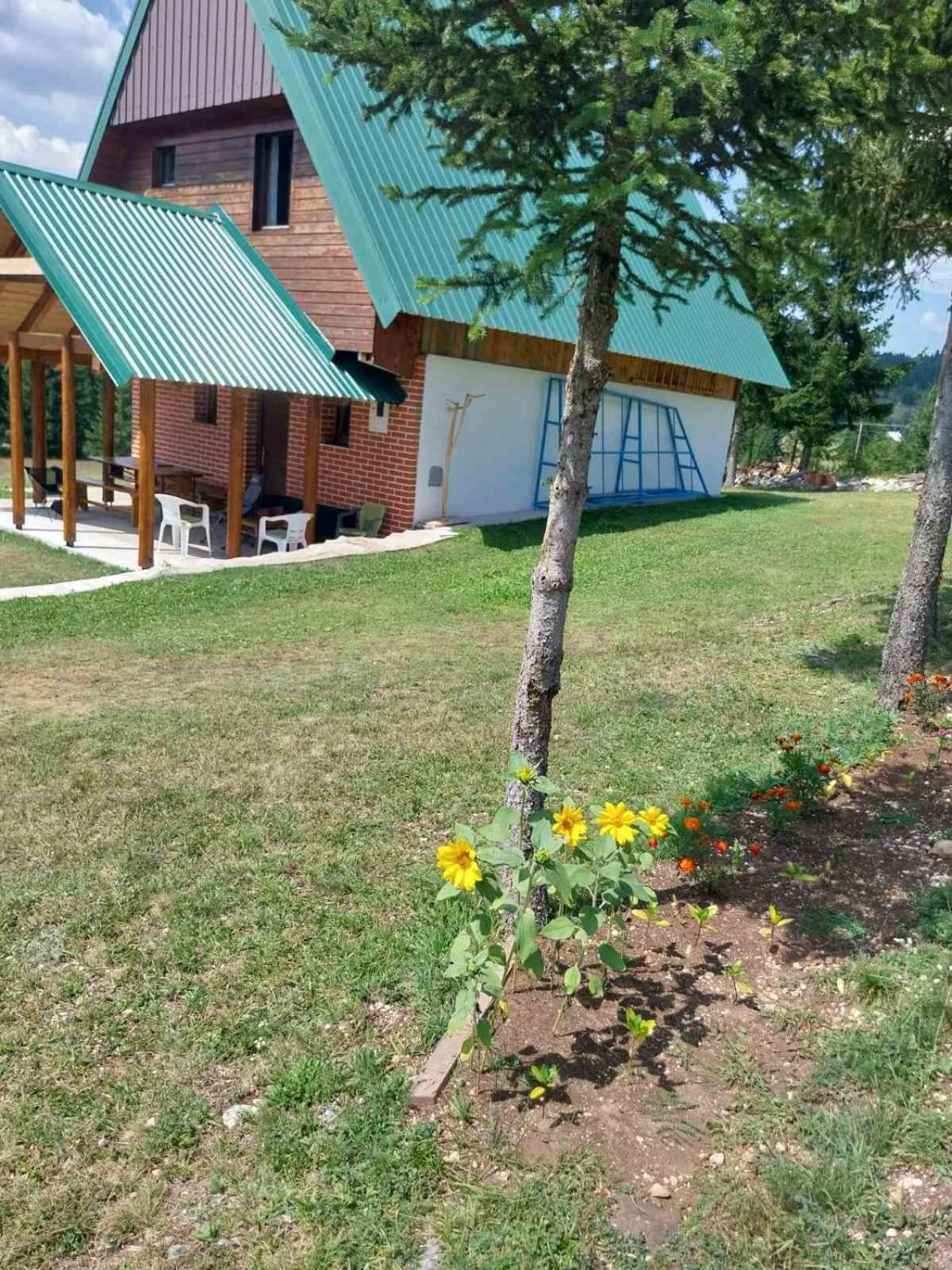House In Forest Žabljak Eksteriør bilde