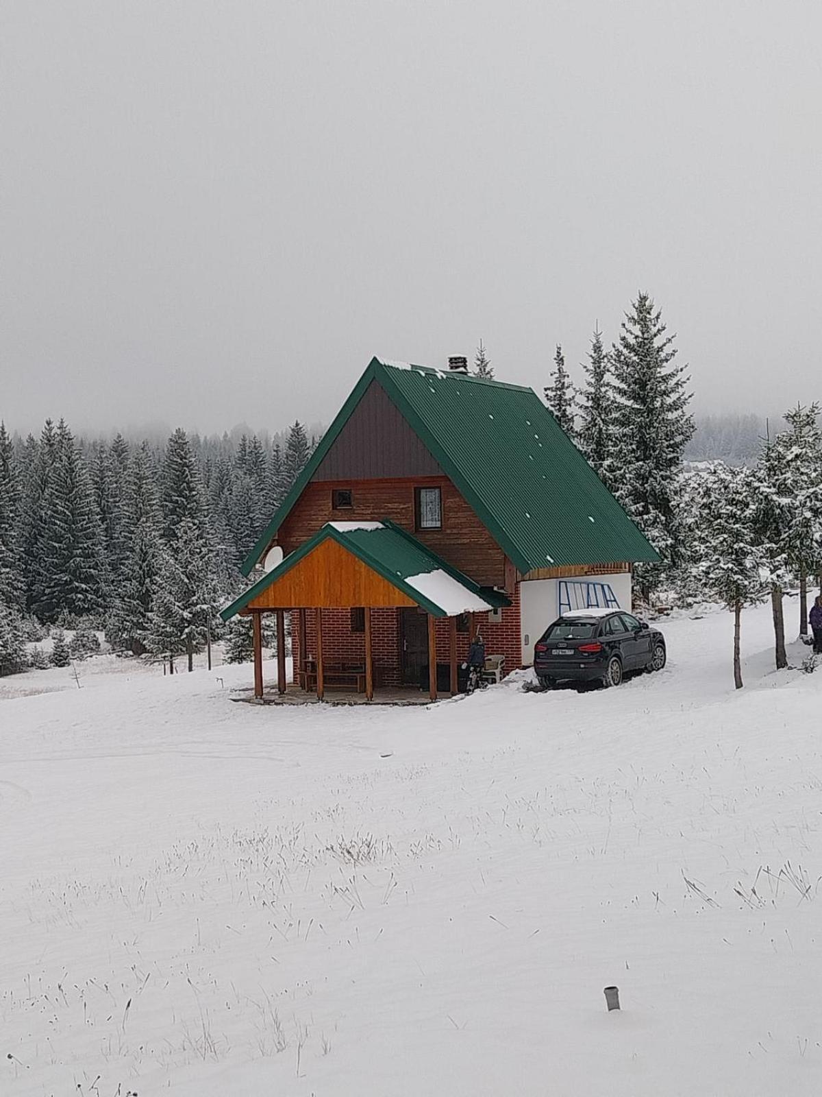 House In Forest Žabljak Eksteriør bilde