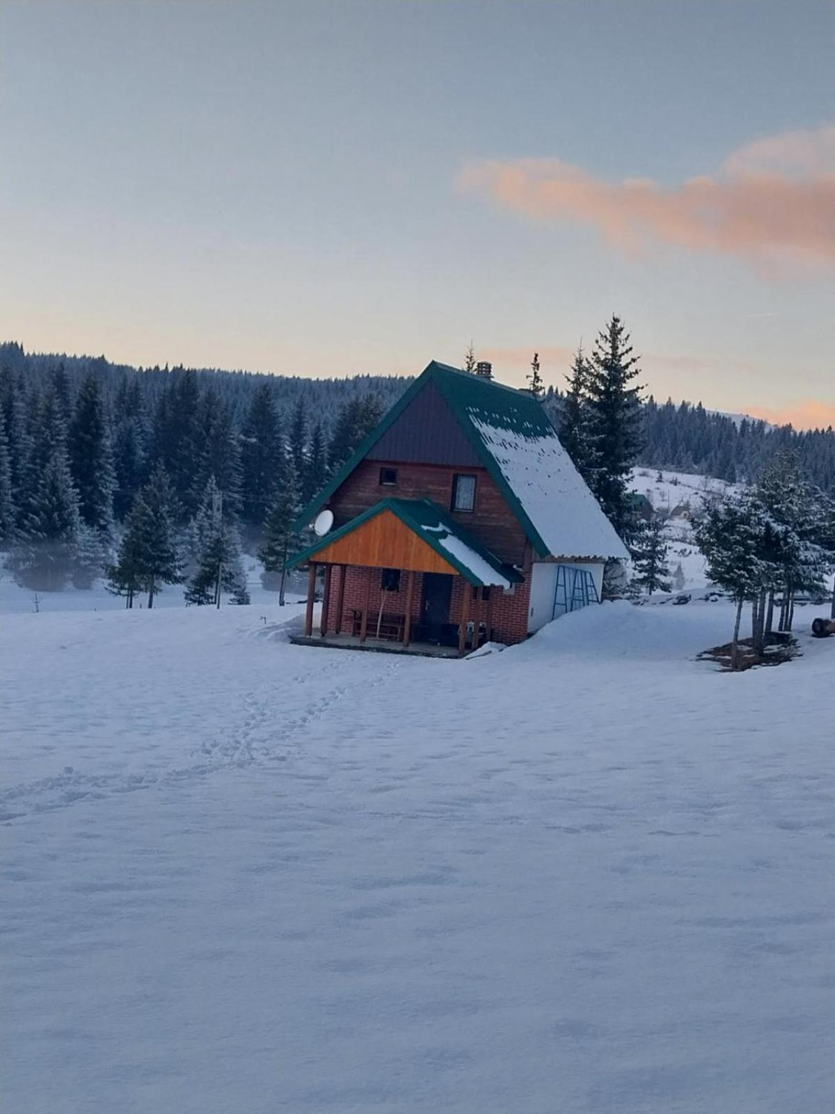 House In Forest Žabljak Eksteriør bilde