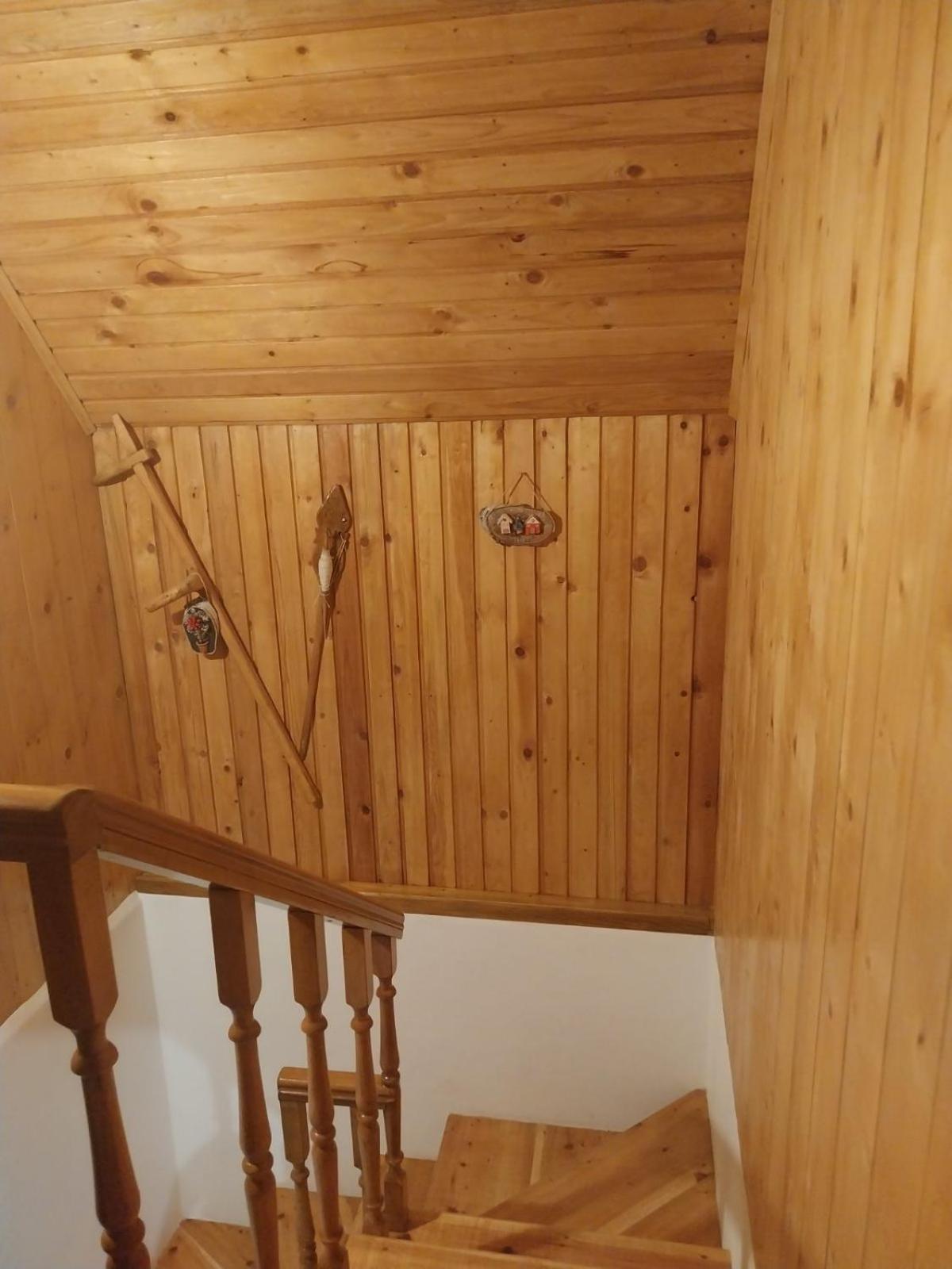 House In Forest Žabljak Eksteriør bilde