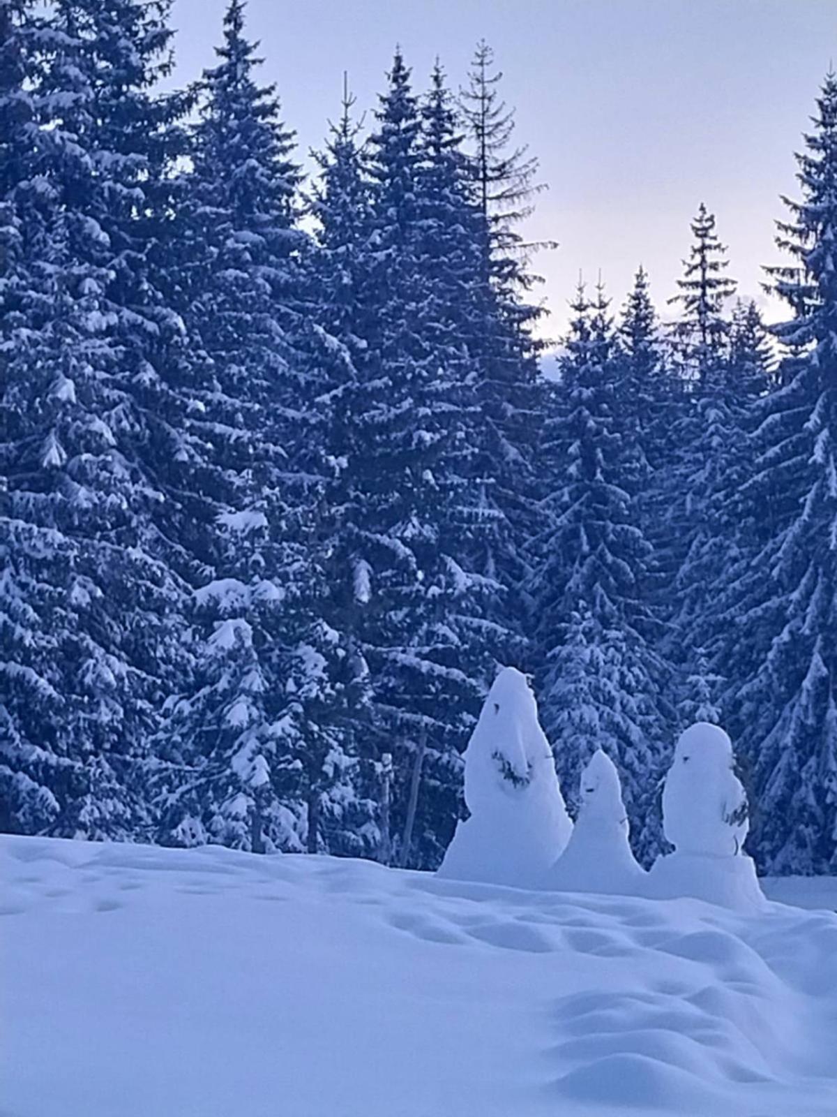 House In Forest Žabljak Eksteriør bilde