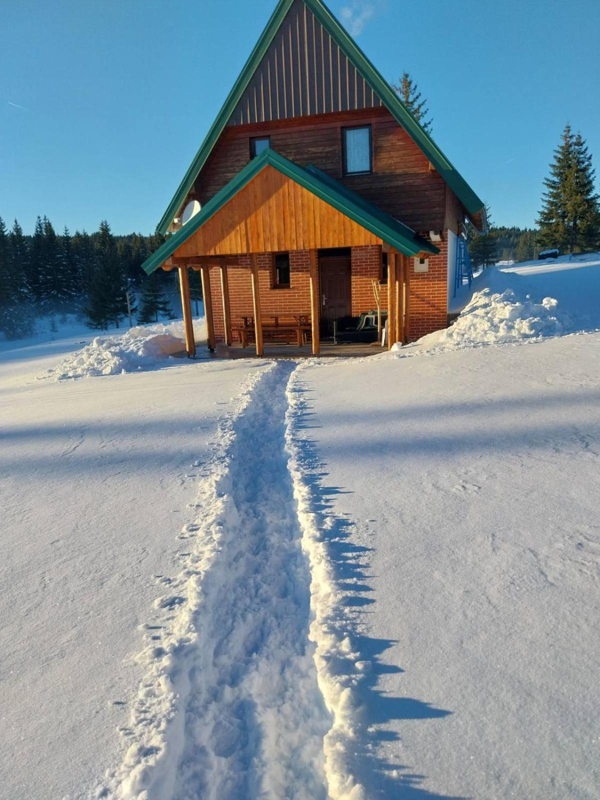 House In Forest Žabljak Eksteriør bilde