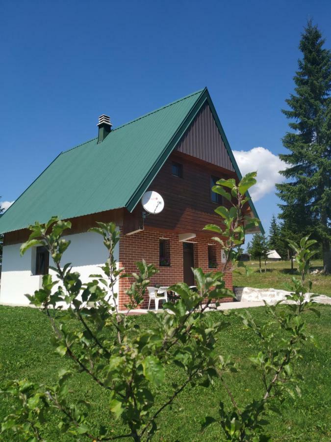 House In Forest Žabljak Eksteriør bilde